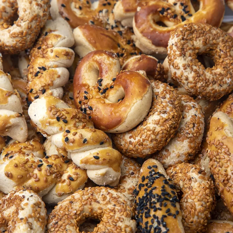 Brutaria Giorgianei (28)