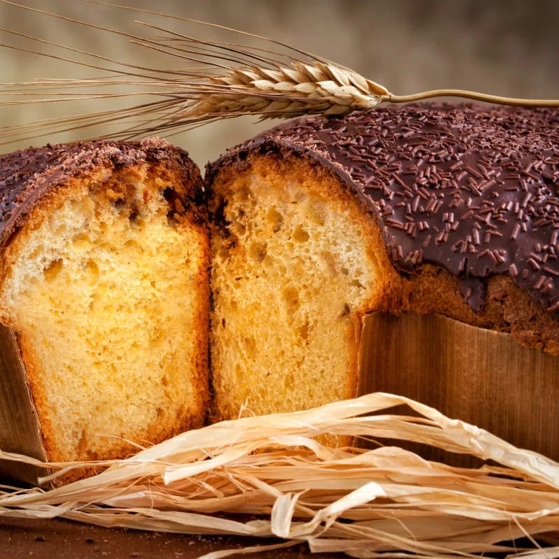 Brutaria Giorgianei (6)